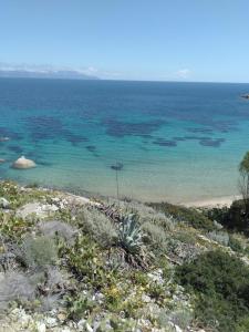 Kép Isola del Giglio szállásáról Giglio Portóban a galériában