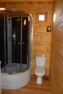 a bathroom with a toilet and a shower at Domki u Wladka in Sianozety