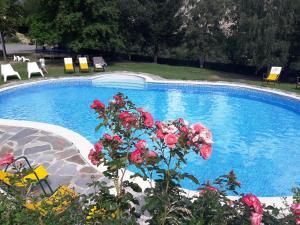 a blue swimming pool with a plant with red roses at Hotel Or Blanc in Espot