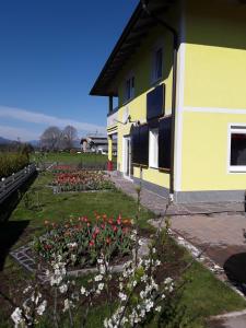 Ogród w obiekcie Apartments Steger