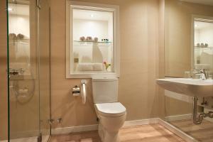 ein Bad mit einem WC, einem Waschbecken und einer Dusche in der Unterkunft Hotel Mirador de La Franca in La Franca