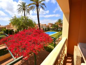 Zahrada ubytování Apartamento Jardines del Mar