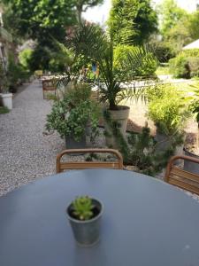 L'adresse à Besançon外面的花园
