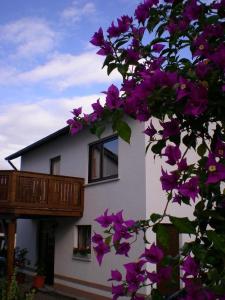 um edifício com flores roxas em frente em Casa-Maria em Ehrenberg
