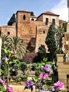 Vonkajšia záhrada v ubytovaní Studio Arts Soho - Malaga