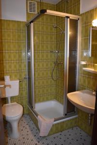 een badkamer met een douche, een toilet en een wastafel bij Pension Haus am Waldesrand in Schieder-Schwalenberg
