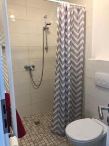 uma casa de banho com uma cortina de chuveiro e um WC em Hof Keske em Peissen