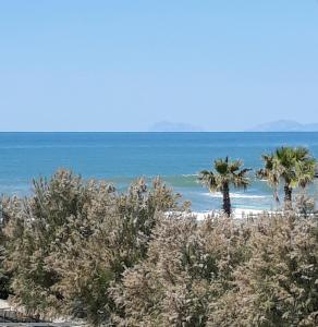 two palm trees on a beach with the ocean at Hotel Rosy in Battipaglia