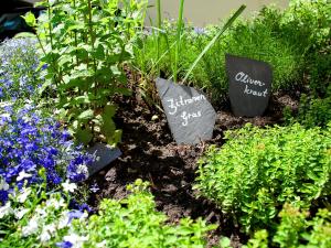 a garden with flowers and signs in a garden at Hotel Villa Monte Vino in Potsdam +105 photos