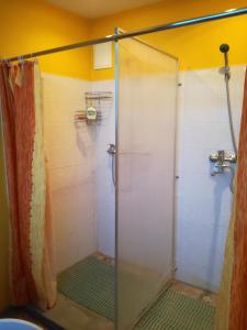 W łazience znajduje się prysznic ze szklanymi drzwiami. w obiekcie Brīvdienas w mieście Alūksne