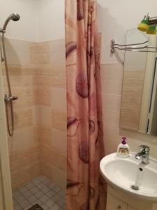 y baño con cortina de ducha y lavamanos. en Brīvdienas en Alūksne