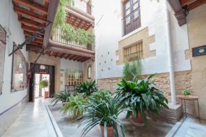 a hallway with potted plants in a building at Casa Palacio de los Leones in El Puerto de Santa María +53 photos