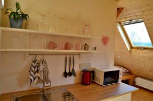 a kitchen with a counter with a sink and a microwave at Vila Kateřina in Broumov