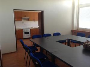 Kuchyň nebo kuchyňský kout v ubytování Hotel Avion