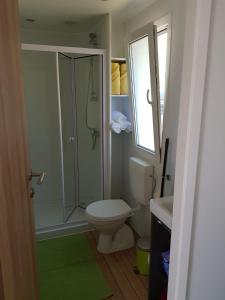 La salle de bains est pourvue de toilettes et d'une douche en verre. dans l'établissement Mobile Homes Aurea Maris - Kamp Dole Živogošće, à Živogošće