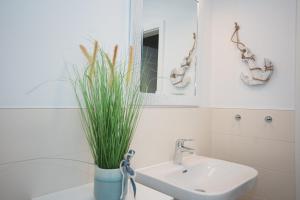 a bathroom with a sink and a plant in a vase at Ferienwohnung Küstenflair in Ostseebad Sellin