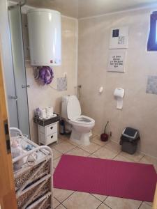 クラスノブルトにあるLawendowa Werandaのバスルーム(トイレ付)、ピンクのラグ