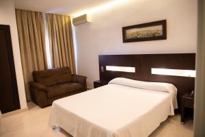 ein Hotelzimmer mit einem Bett und einem Stuhl in der Unterkunft Hotel El Mesón in Torrijos