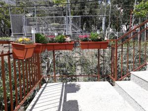 Apartments Renata في تروغير: حديقة فيها ورد في قدور على السياج
