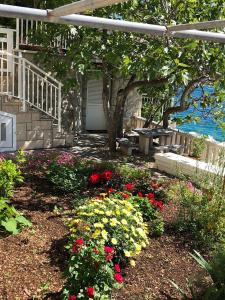 Gallery image of Haus am Meer in Brela