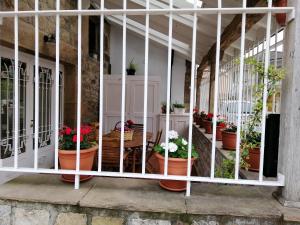 um grupo de vasos de plantas num edifício em La Casa de Santa Olalla em Molledo