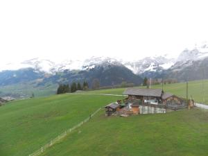 a house in a field with mountains in the background at Apartment Panorama- Chalet by Interhome in Blankenburg