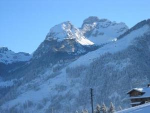 BlankenburgにあるApartment Panorama- Chalet by Interhomeの雪山