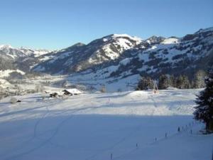 a snow covered slope with a mountain in the background at Apartment Panorama- Chalet by Interhome in Blankenburg