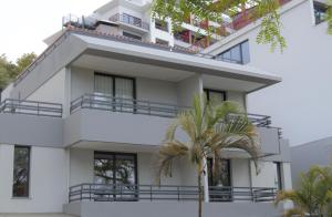 a white building with a palm tree in front of it at Apartamentos Turísticos Vitoria by Petit Hotels in Funchal