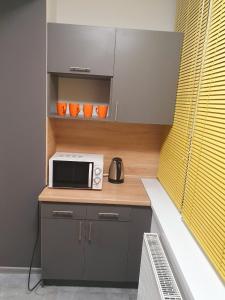 una pequeña cocina con microondas en una encimera en VIP apartment in the centre, en Uzhhorod