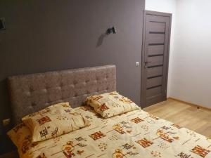 1 dormitorio con 1 cama con 2 almohadas en VIP apartment in the centre, en Uzhhorod