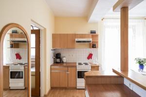 Kuchyňa alebo kuchynka v ubytovaní ZAKOHOME- Apartamenty Kościelisko Centrum