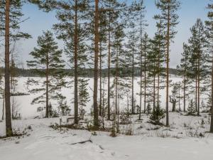 a group of pine trees in the snow at Holiday Home Koholahti by Interhome in Jäniskylä