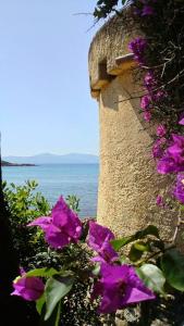 a wall with purple flowers next to the ocean at Résidence Les Mandiles in Cargèse