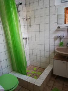 a bathroom with a shower with a green shower curtain at FeWo Inselzeit in Ueckeritz