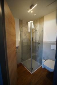 ein Bad mit einer Glasdusche und einem WC in der Unterkunft Nürburgring Aparts in Welcherath