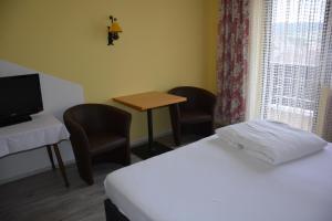 TV a/nebo společenská místnost v ubytování Hotel Böhmerwaldhof
