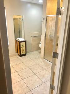 Tahitian Inn Boutique Hotel Tampa衛浴