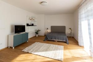 salon z łóżkiem i telewizorem w obiekcie Flataid Apartmenthaus Brauhausstrasse w Grazu