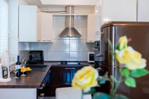 Kuchyň nebo kuchyňský kout v ubytování Dubrovnik Style Luxury Apartment