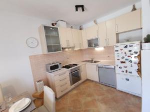 Kuchyň nebo kuchyňský kout v ubytování House MARIO