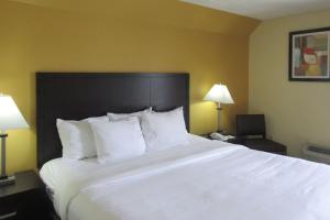 un grande letto bianco in una camera d'albergo con due lampade di Quality Inn & Suites a Cincinnati