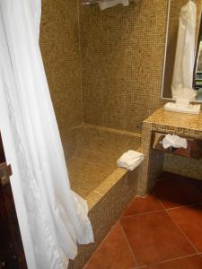 un bagno con doccia con tenda da doccia di Hotel Hacienda Taboada (Aguas Termales) a San Miguel de Allende