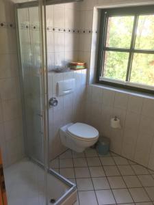 a bathroom with a toilet and a glass shower at Ferienwohnung auf dem Kutzenberg in Altendorf
