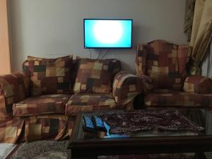 Il comprend un salon doté d'un canapé et d'une télévision à écran plat. dans l'établissement Two-Bedroom Apartment at Al Rehab, au Caire
