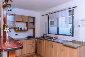 Cuisine ou kitchenette dans l'établissement Hostal y Cabañas Aorangi