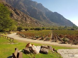 a field with a dirt road and a mountain at BELLA VISTA - CAFAYATE in Cafayate