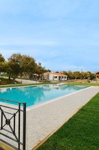 a large swimming pool with blue water in a yard at Monte Pirastru in Nughedu San Nicolò