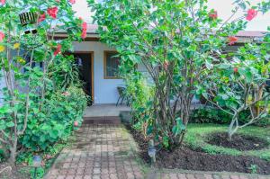 Jardin de l'établissement Hostal y Cabañas Aorangi