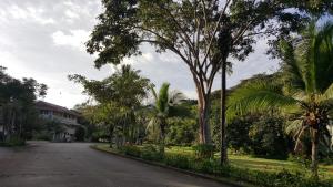 Aed väljaspool majutusasutust Gamboa Apartment Toucan y Studio Ñeque